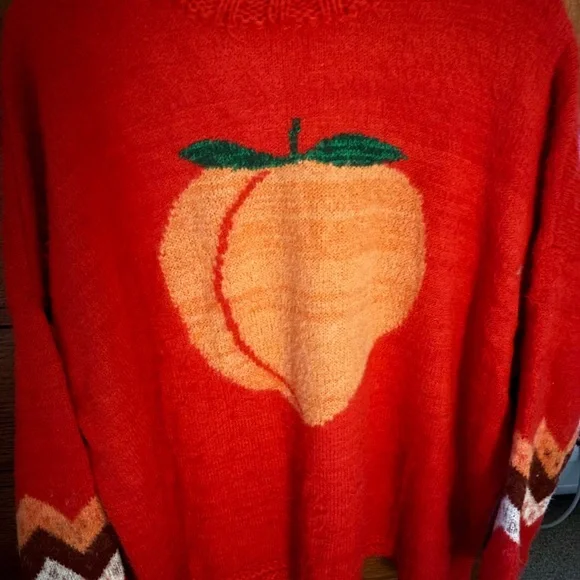 Free People Red Sweater with Peach Motif - Picture 1 of 6